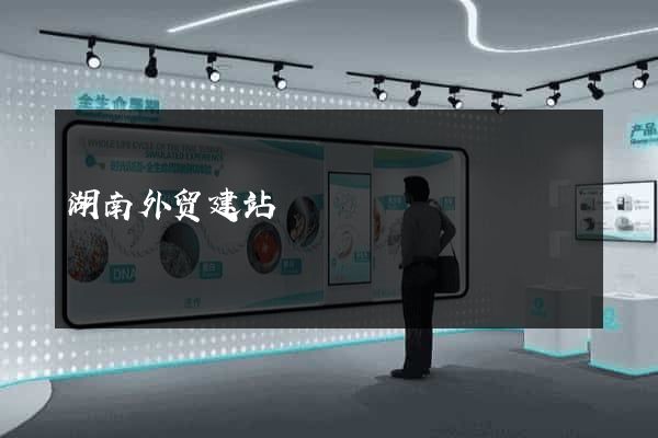 湖南外贸建站