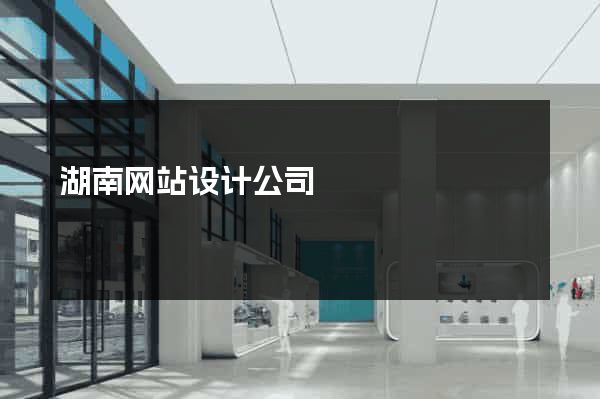 湖南网站设计公司