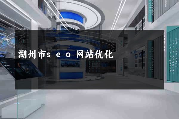 湖州市seo网站优化