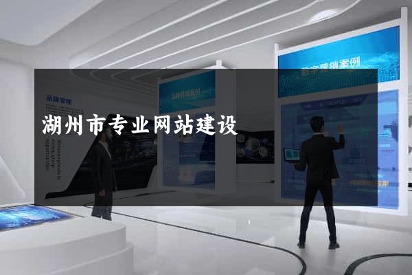 湖州市专业网站建设