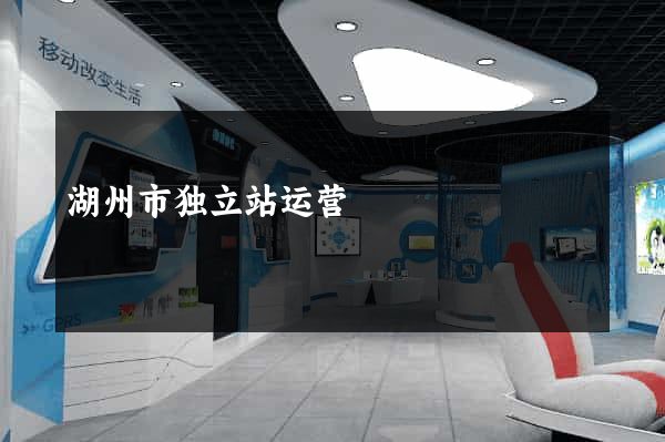 湖州市独立站运营