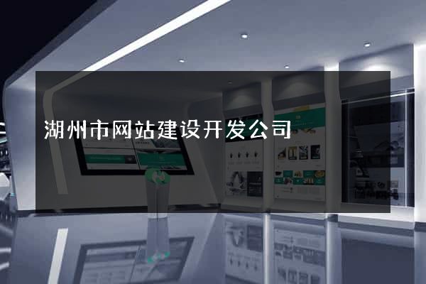 湖州市网站建设开发公司