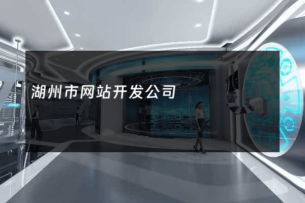 湖州市网站开发公司