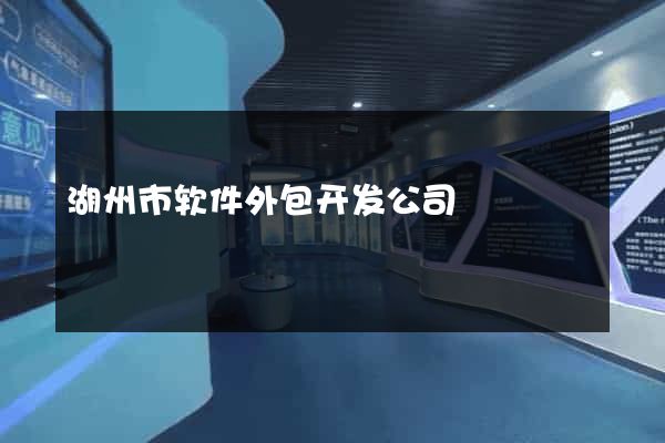 湖州市软件外包开发公司