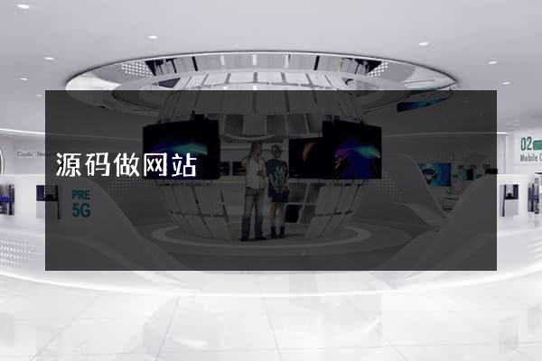 源码做网站