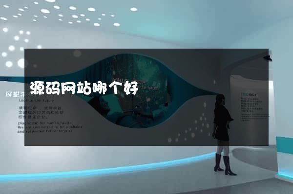 源码网站哪个好