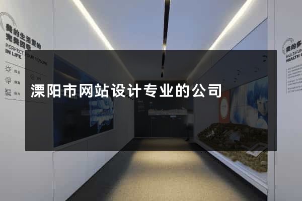 溧阳市网站设计专业的公司