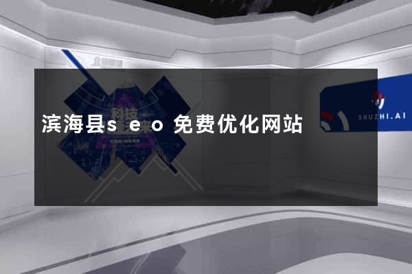 滨海县seo免费优化网站