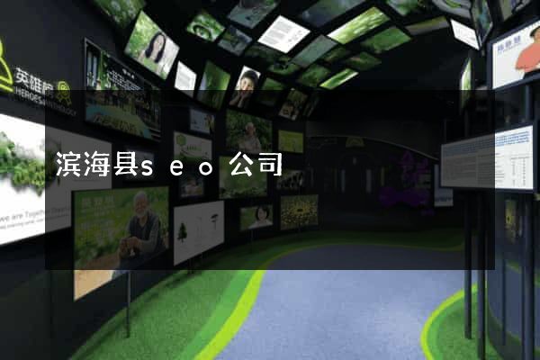 滨海县seo公司