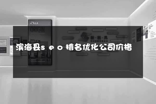滨海县seo排名优化公司价格