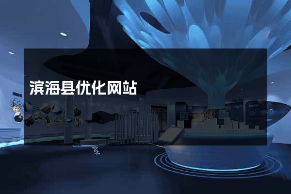 滨海县优化网站
