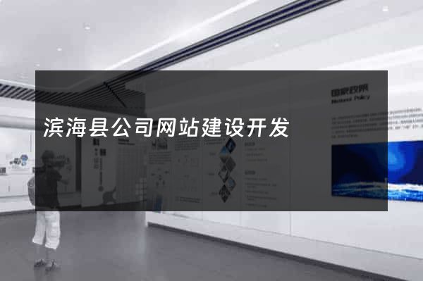 滨海县公司网站建设开发