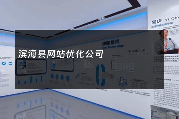 滨海县网站优化公司