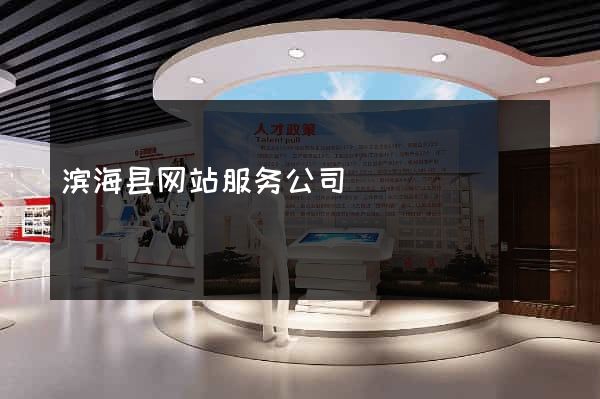 滨海县网站服务公司