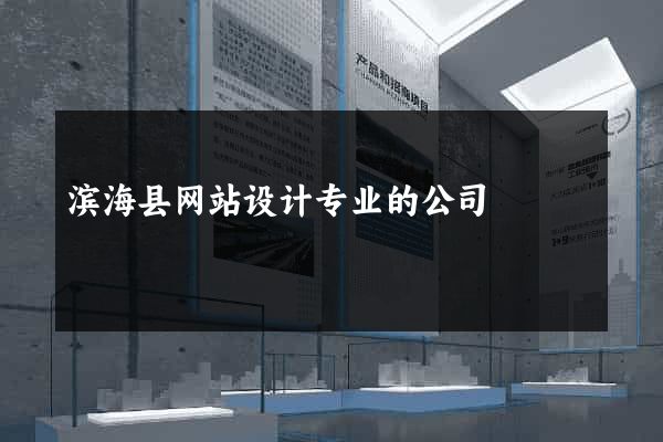 滨海县网站设计专业的公司