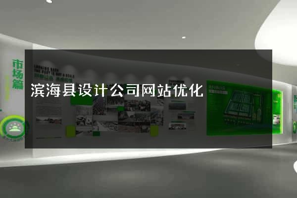 滨海县设计公司网站优化