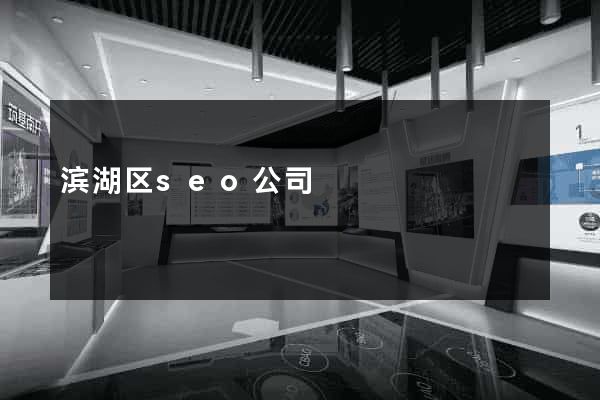滨湖区seo公司