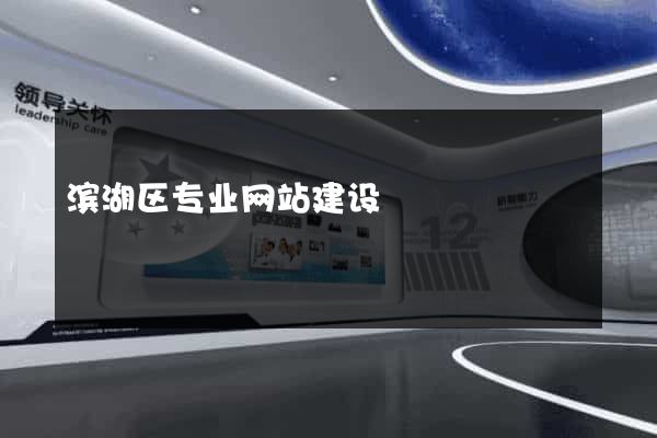 滨湖区专业网站建设
