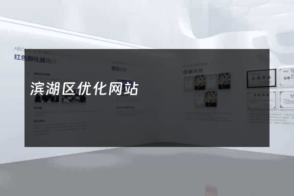 滨湖区优化网站