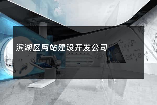 滨湖区网站建设开发公司