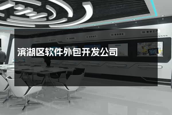 滨湖区软件外包开发公司