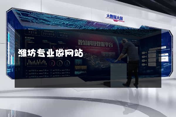 潍坊专业做网站