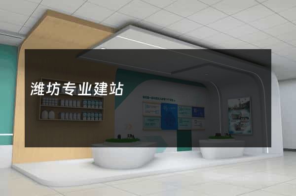 潍坊专业建站