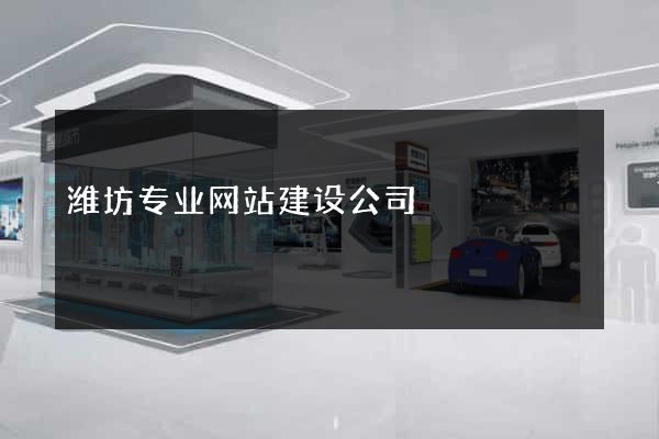 潍坊专业网站建设公司