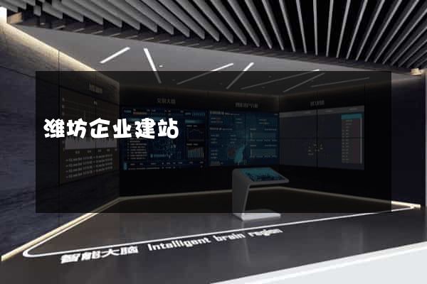 潍坊企业建站