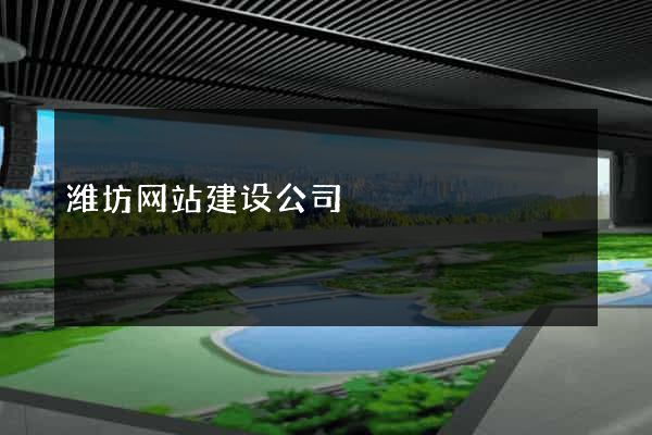 潍坊网站建设公司
