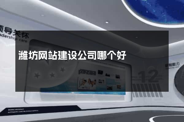潍坊网站建设公司哪个好