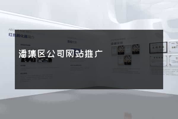 潘集区公司网站推广