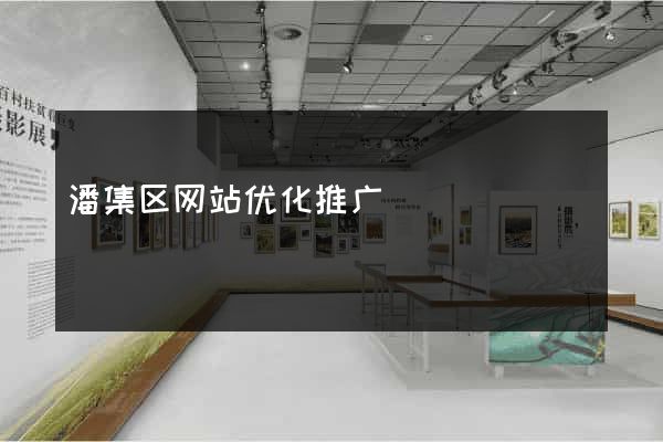 潘集区网站优化推广