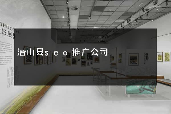 潜山县seo推广公司
