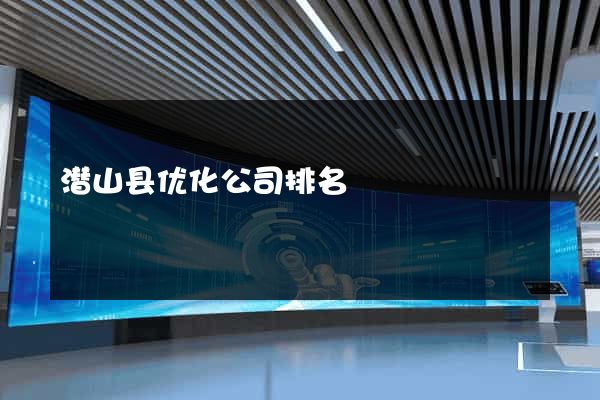 潜山县优化公司排名