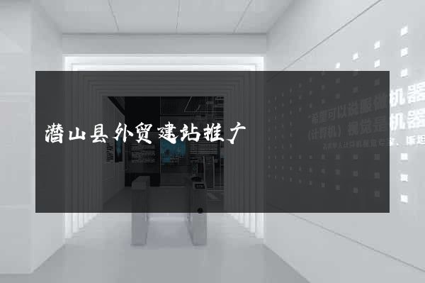 潜山县外贸建站推广
