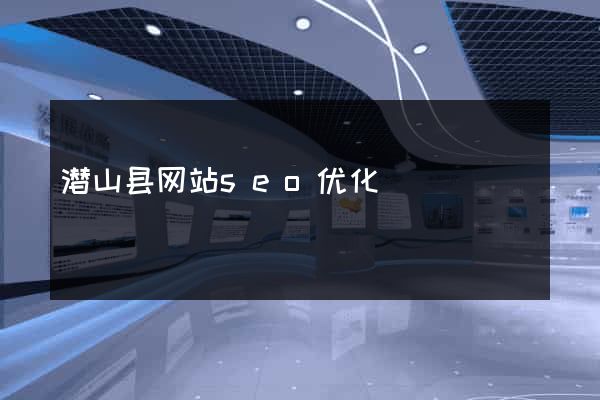 潜山县网站seo优化