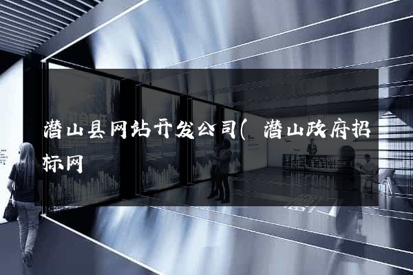 潜山县网站开发公司(潜山政府招标网) 潜山县网站开发公司(潜山政府招标网)