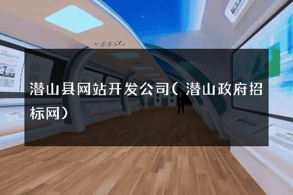 潜山县网站开发公司(潜山政府招标网)