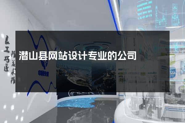 潜山县网站设计专业的公司