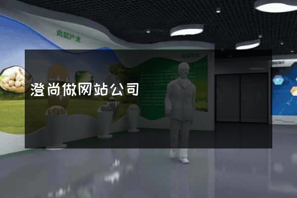 澄尚做网站公司