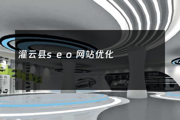 灌云县seo网站优化