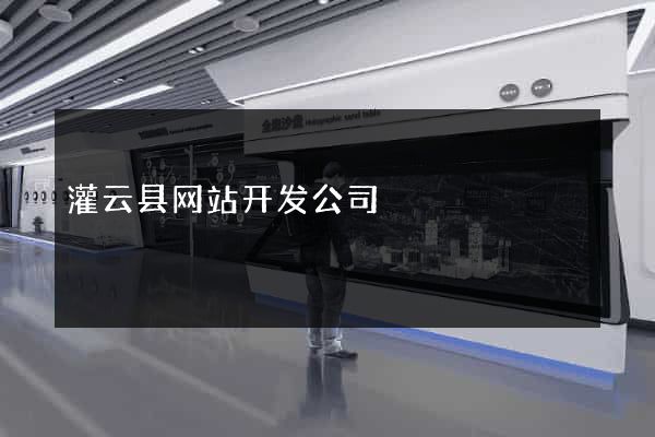 灌云县网站开发公司