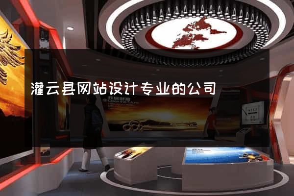 灌云县网站设计专业的公司