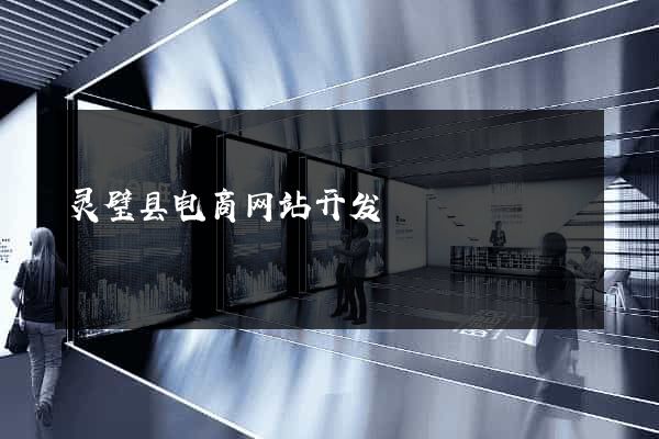 灵璧县电商网站开发