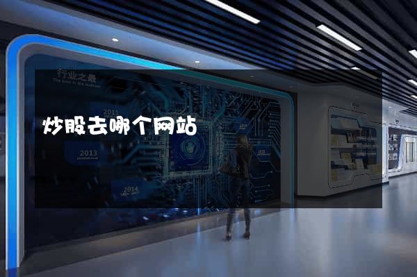 炒股去哪个网站