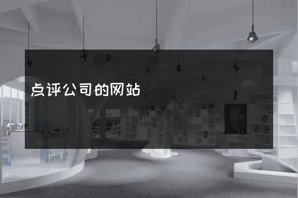 点评公司的网站