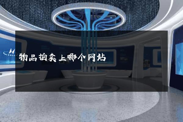 物品拍卖上哪个网站