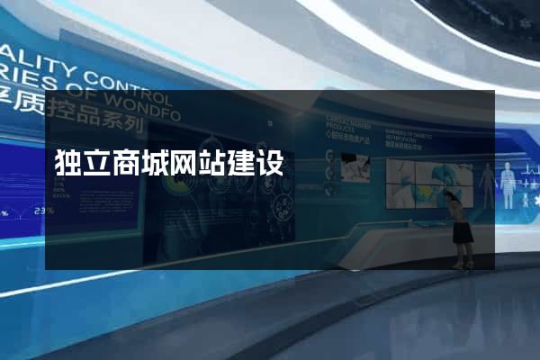 独立商城网站建设