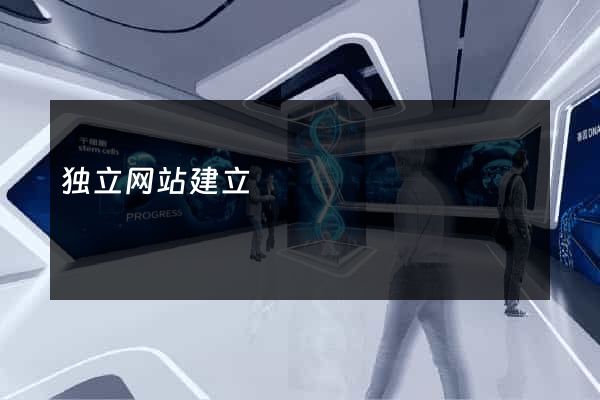 独立网站建立